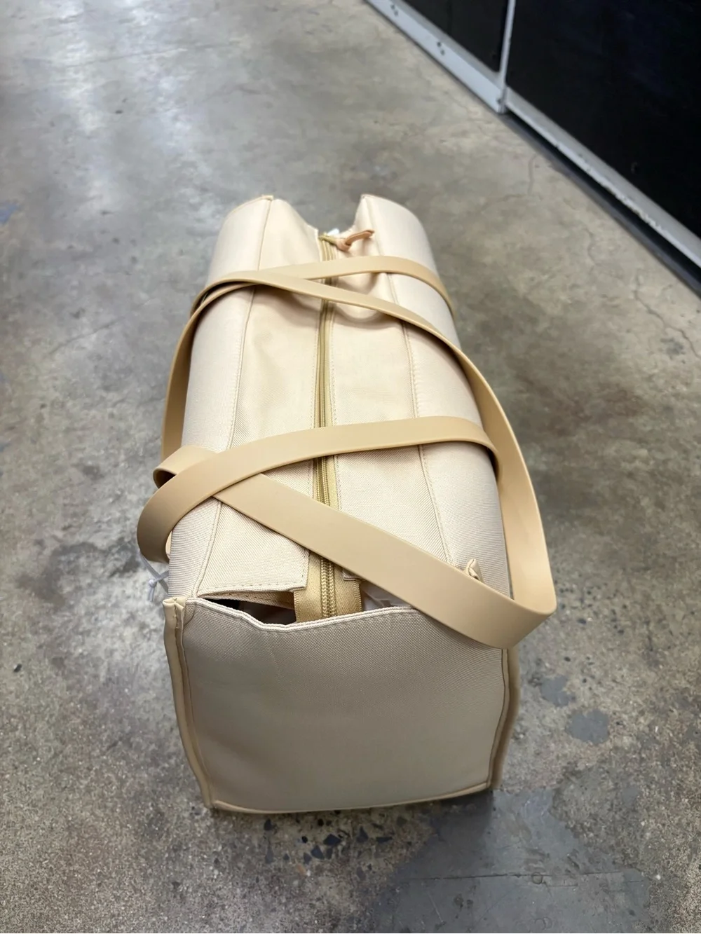 Beige Canvas Pet Tote Bag (Wild One)